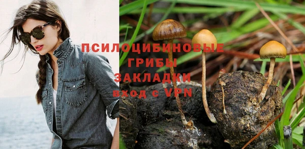 spice Абдулино