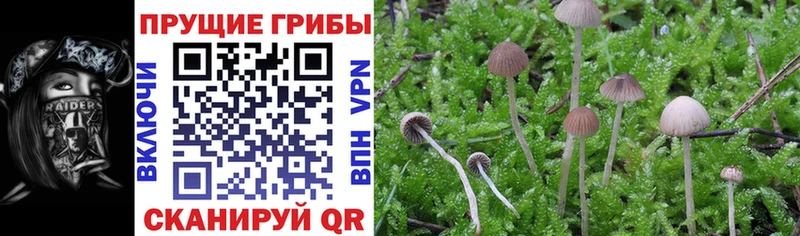 Галлюциногенные грибы прущие грибы mega сайт Ессентукская